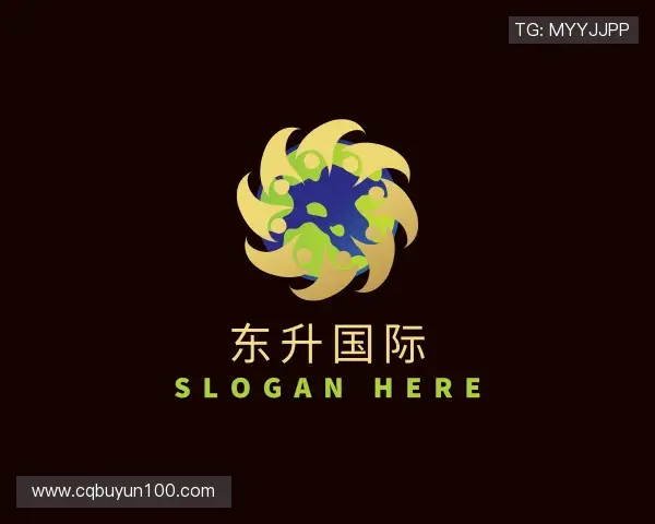 了解东升国际